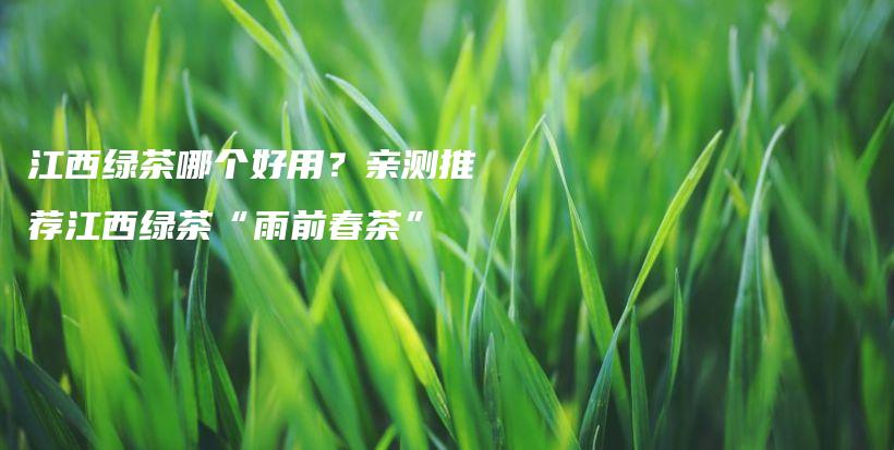 江西綠茶哪個好用？親測推薦江西綠茶“雨前春茶”插圖