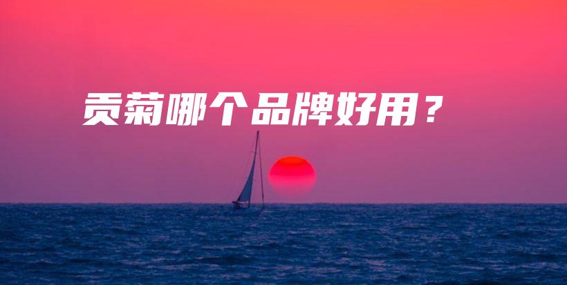貢菊哪個品牌好用？插圖