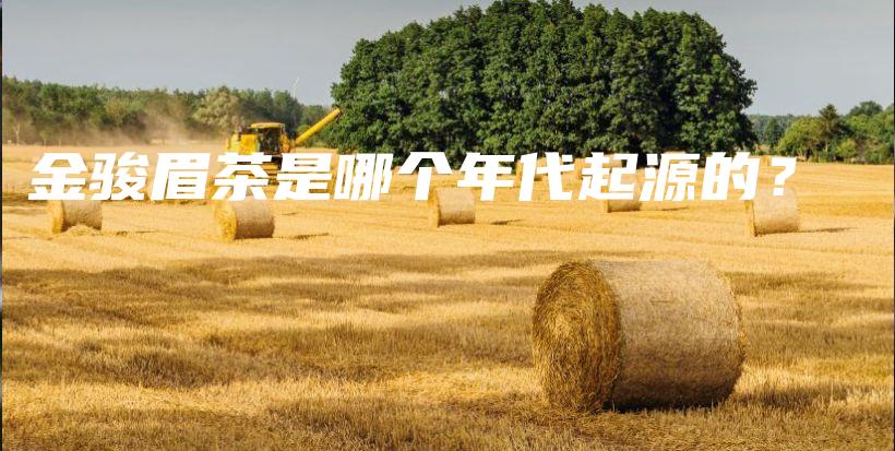 金駿眉茶是哪個年代起源的？插圖