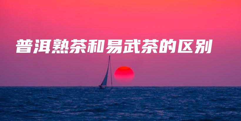普洱熟茶和易武茶的區(qū)別插圖