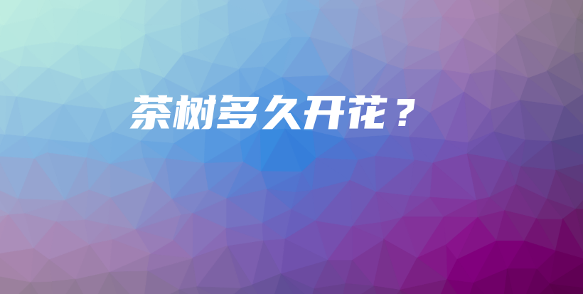 茶樹多久開花？插圖