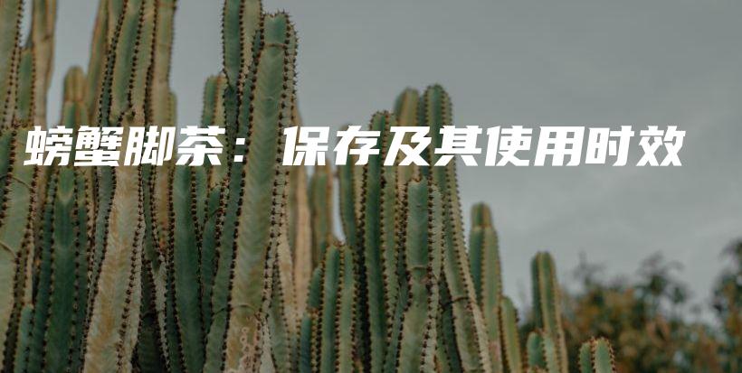 螃蟹腳茶：保存及其使用時效插圖