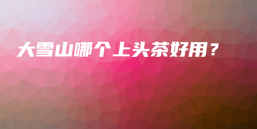 大雪山哪個上頭茶好用？插圖