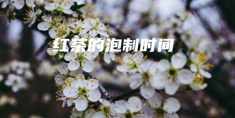 紅茶的泡制時(shí)間插圖