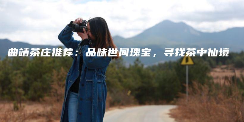 曲靖茶莊推薦：品味世間瑰寶，尋找茶中仙境插圖