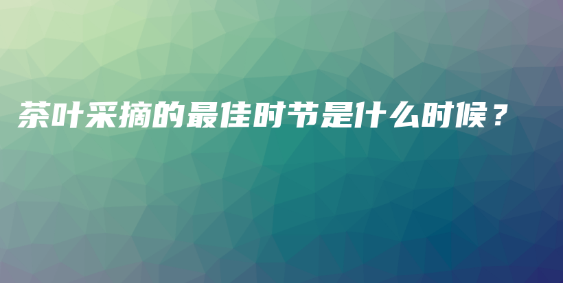 茶葉采摘的最佳時(shí)節(jié)是什么時(shí)候？插圖