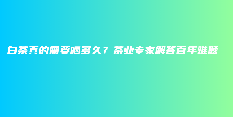 白茶真的需要曬多久？茶業(yè)專家解答百年難題插圖