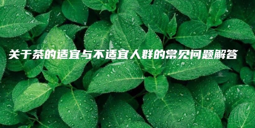 關(guān)于茶的適宜與不適宜人群的常見問題解答插圖