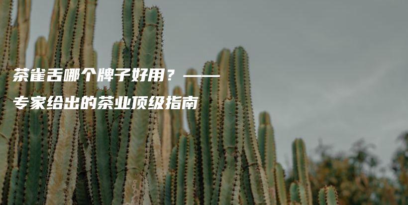 茶雀舌哪個牌子好用？——專家給出的茶業(yè)頂級指南插圖