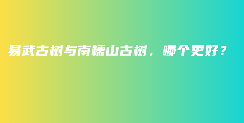 易武古樹與南糯山古樹，哪個(gè)更好？插圖