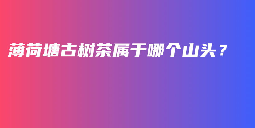 薄荷塘古樹茶屬于哪個山頭？插圖