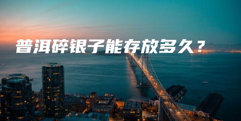 普洱碎銀子能存放多久？插圖