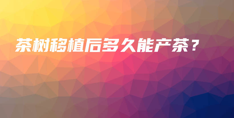 茶樹移植后多久能產(chǎn)茶？插圖