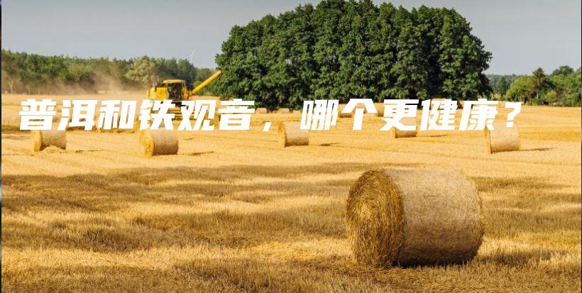 普洱和鐵觀音，哪個(gè)更健康？插圖