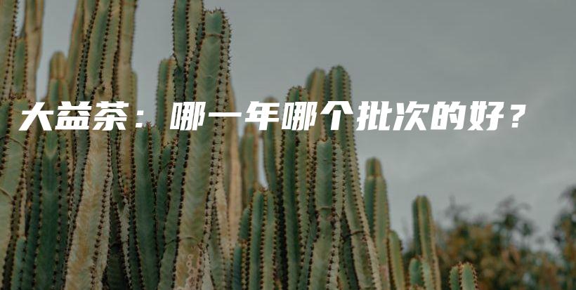 大益茶：哪一年哪個批次的好？插圖