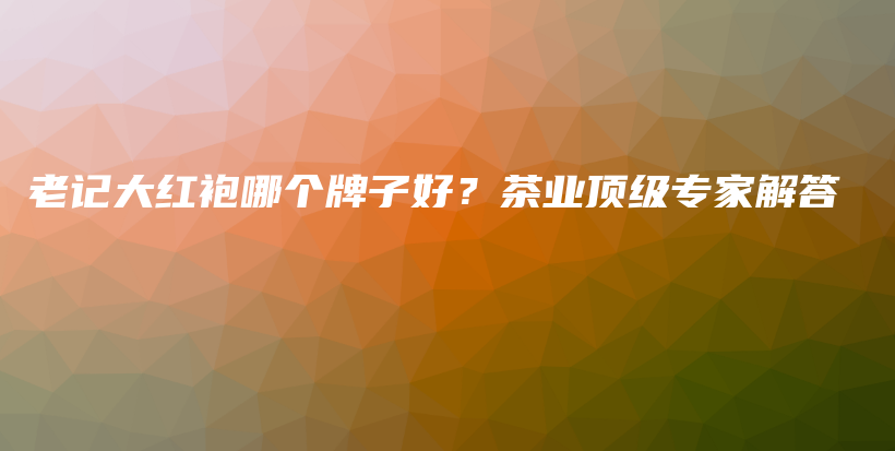 老記大紅袍哪個(gè)牌子好？茶業(yè)頂級(jí)專家解答插圖
