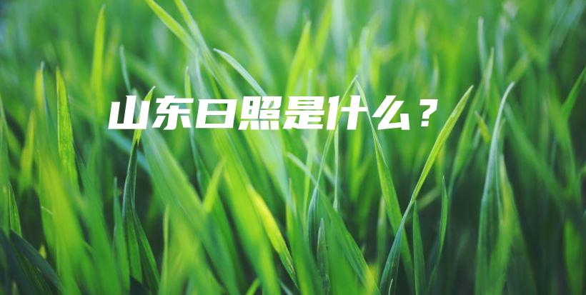 山東曰照是什么？插圖