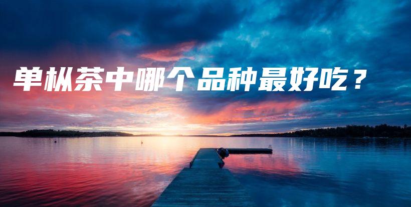 單樅茶中哪個品種最好吃？插圖