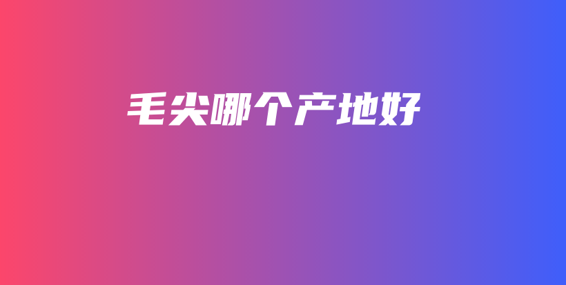 毛尖哪個(gè)產(chǎn)地好插圖