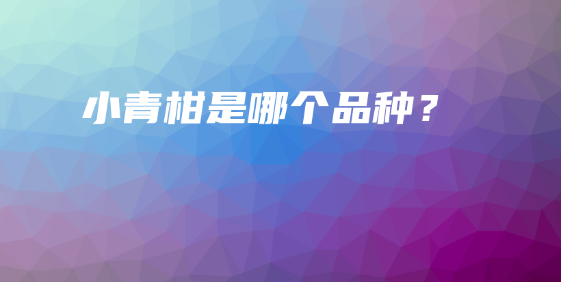 小青柑是哪個(gè)品種？插圖