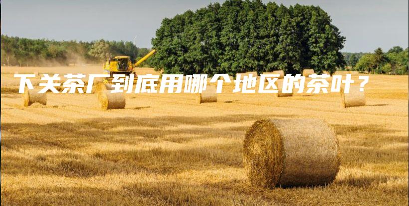 下關(guān)茶廠到底用哪個地區(qū)的茶葉？插圖