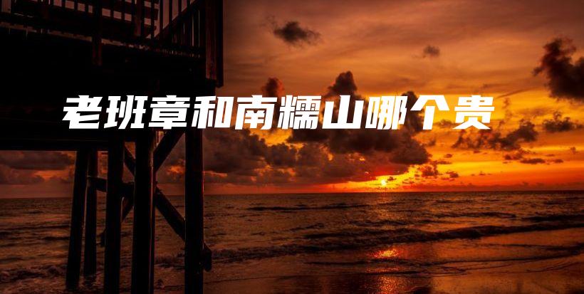 老班章和南糯山哪個貴插圖