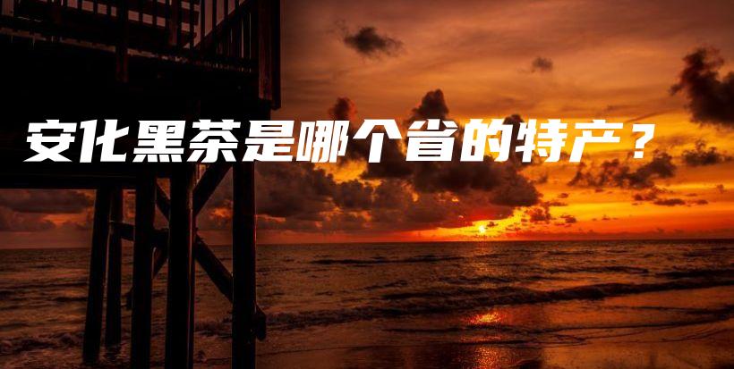 安化黑茶是哪個(gè)省的特產(chǎn)？插圖