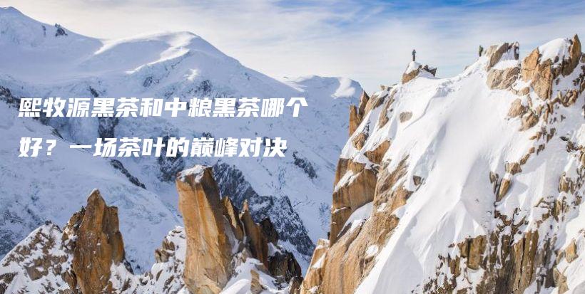 熙牧源黑茶和中糧黑茶哪個好？一場茶葉的巔峰對決插圖