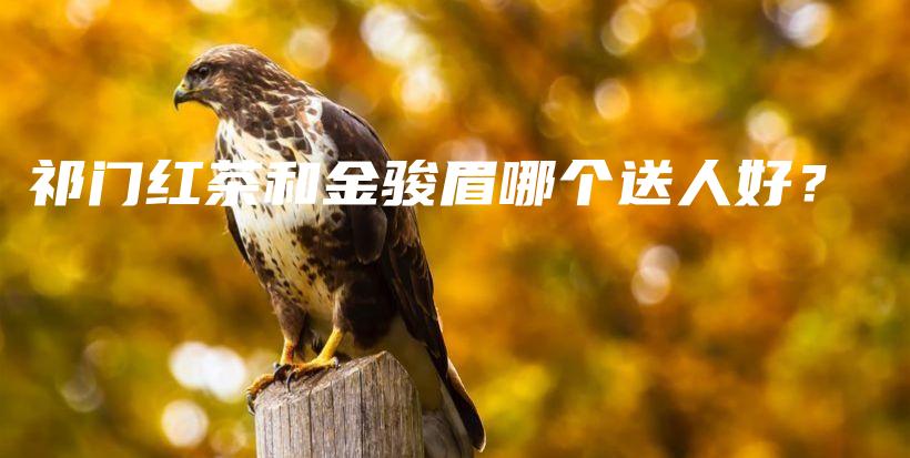 祁門紅茶和金駿眉哪個(gè)送人好？插圖