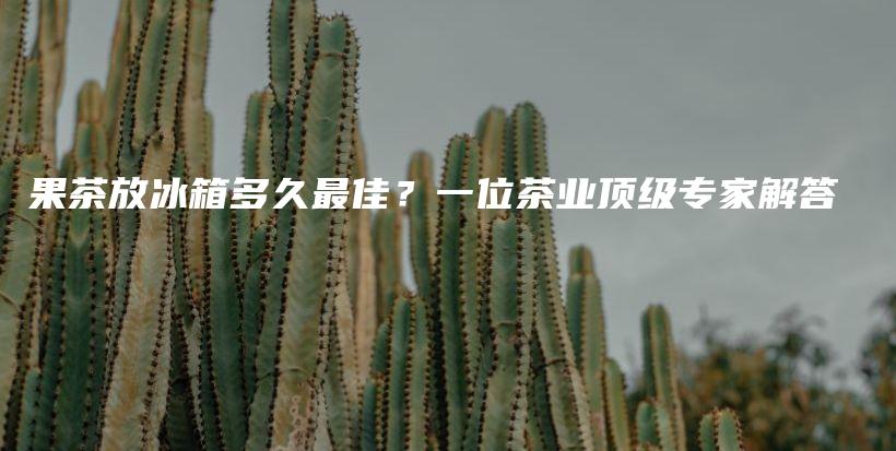 果茶放冰箱多久最佳？一位茶業(yè)頂級(jí)專家解答插圖