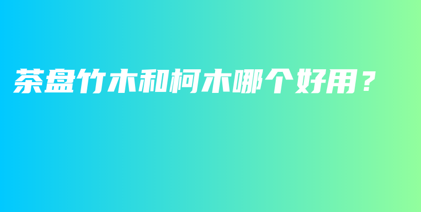 茶盤竹木和柯木哪個好用？插圖