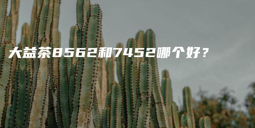 大益茶8562和7452哪個(gè)好？插圖