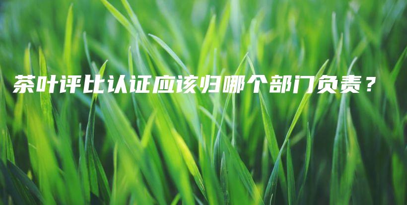 茶葉評比認證應該歸哪個部門負責？插圖