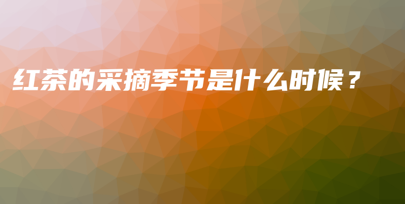 紅茶的采摘季節(jié)是什么時(shí)候？插圖