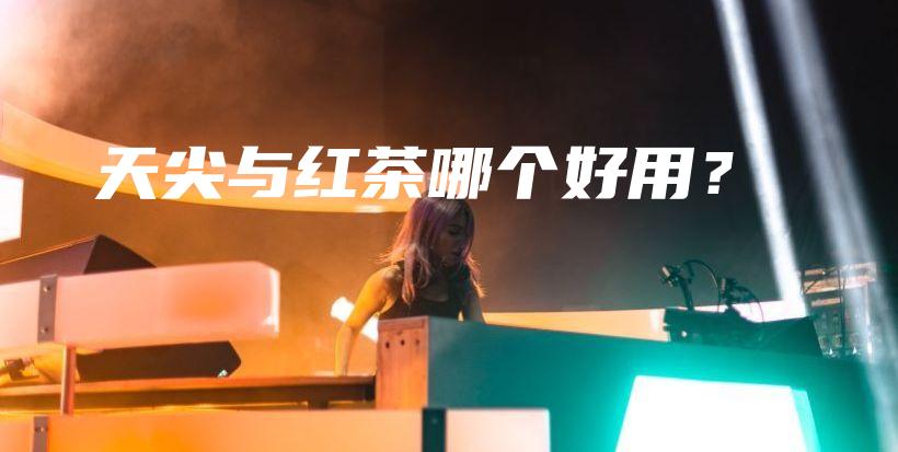 天尖與紅茶哪個好用？插圖
