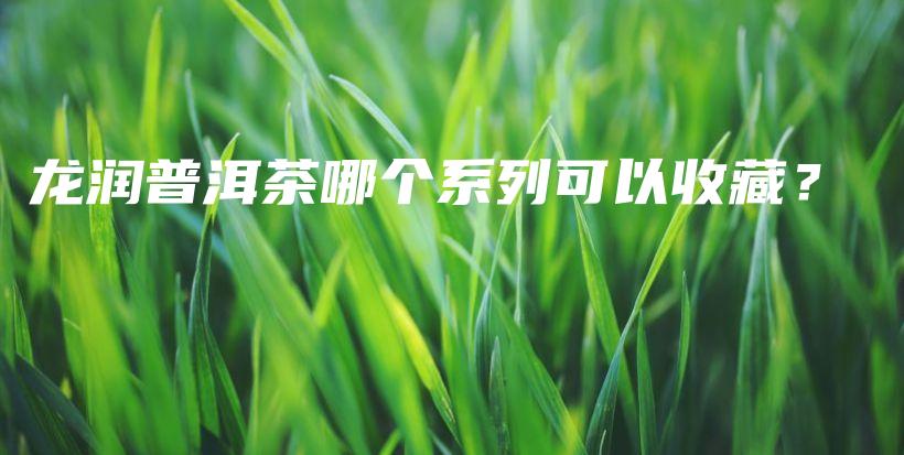 龍潤普洱茶哪個系列可以收藏？插圖