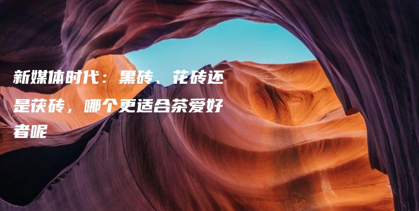 新媒體時(shí)代：黑磚、花磚還是茯磚，哪個(gè)更適合茶愛(ài)好者呢插圖