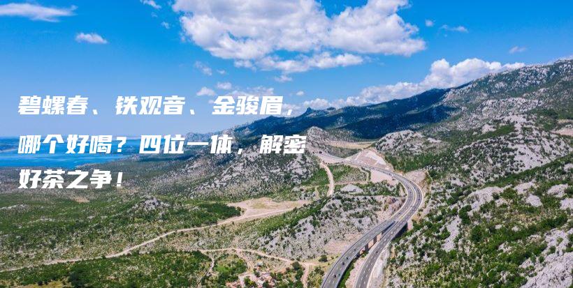 碧螺春、鐵觀音、金駿眉，哪個好喝？四位一體，解密好茶之爭！插圖