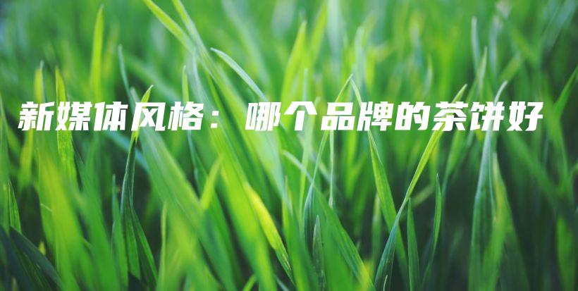 新媒體風(fēng)格：哪個(gè)品牌的茶餅好插圖