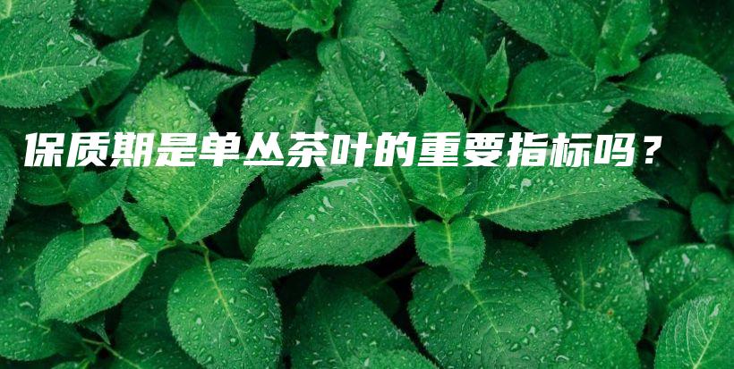 保質(zhì)期是單叢茶葉的重要指標嗎？插圖