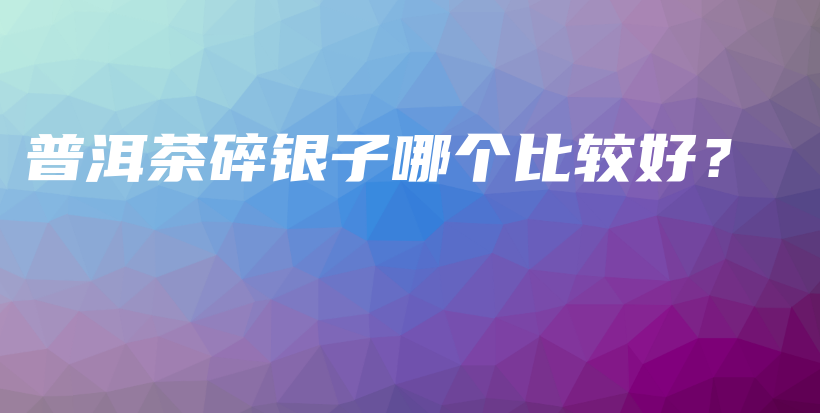 普洱茶碎銀子哪個比較好？插圖
