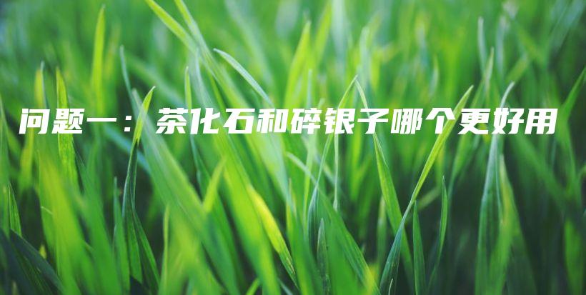 問題一：茶化石和碎銀子哪個更好用插圖