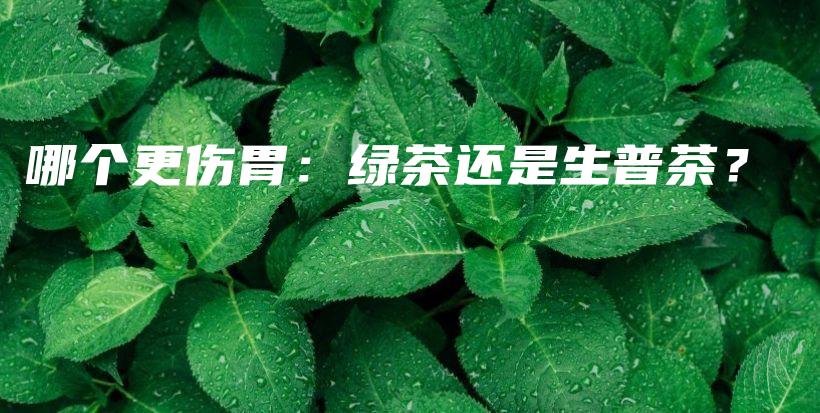 哪個更傷胃：綠茶還是生普茶？插圖