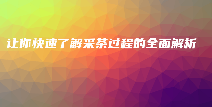 讓你快速了解采茶過程的全面解析插圖