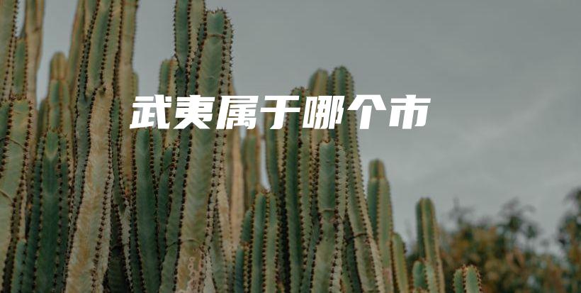 武夷屬于哪個(gè)市插圖