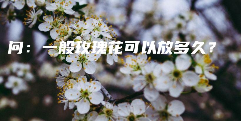 問：一般玫瑰花可以放多久？插圖