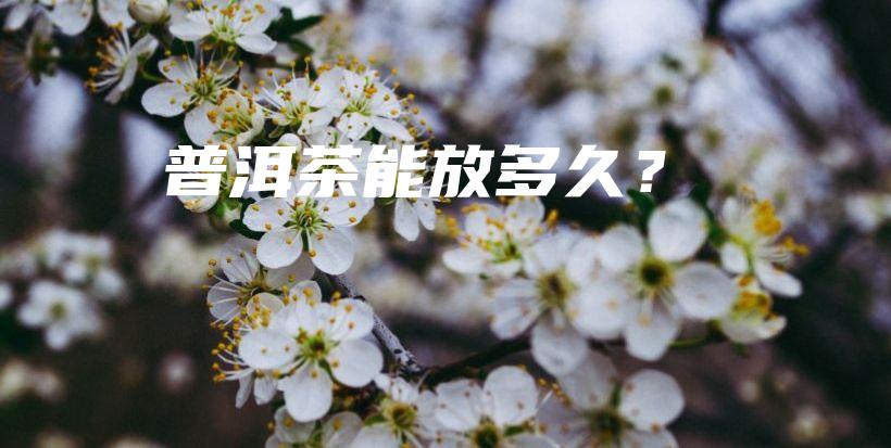 普洱茶能放多久？插圖