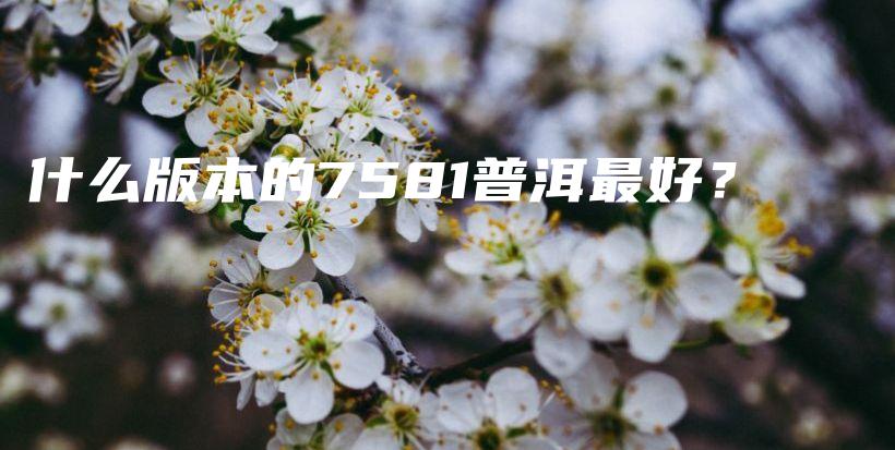 什么版本的7581普洱最好？插圖