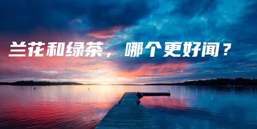 蘭花和綠茶，哪個(gè)更好聞？插圖