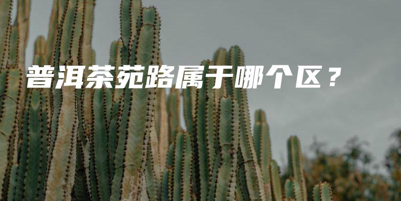 普洱茶苑路屬于哪個區(qū)？插圖